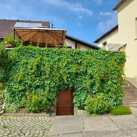 Daire Wolfsbergblick Reinhardtsdorf-Schona