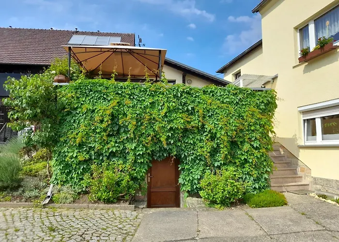 公寓 Wolfsbergblick Reinhardtsdorf-Schona